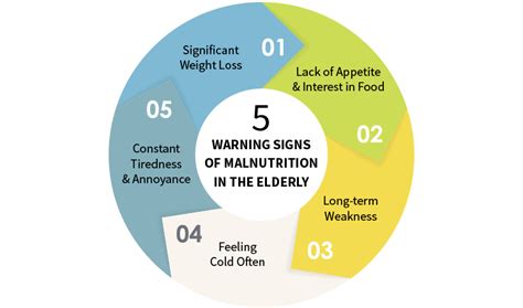 Malnutrition In Elderly Warning Signs And Symptoms To Detect