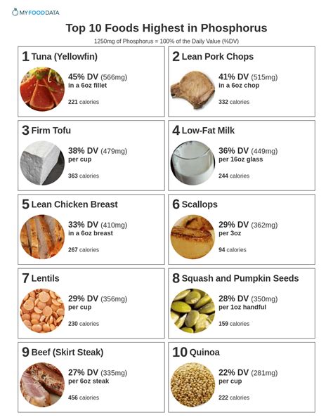Top 10 Foods Highest In Phosphorus