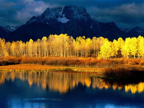 Black And White Wallpapers Yellow Trees Reflection Wallpaper