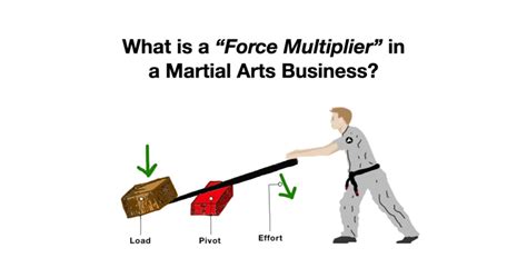 What Is A Force Multiplier In A Martial Arts Business