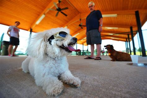 Eastgate Dog Park Gets Thumbs Up From Dog Owners