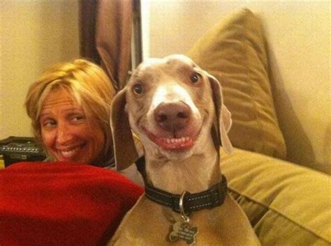 Smiling Dog 2