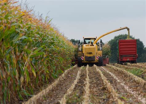 Most Valuable Crops Grown In Pennsylvania Stacker