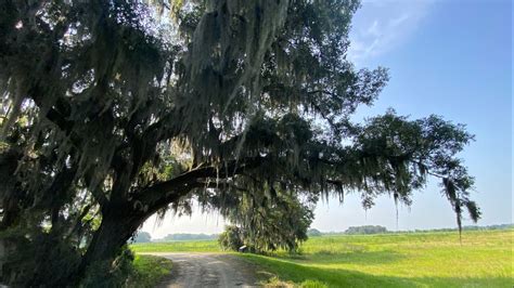 Our First Visit Back To The Savannah National Wildlife Refuge In