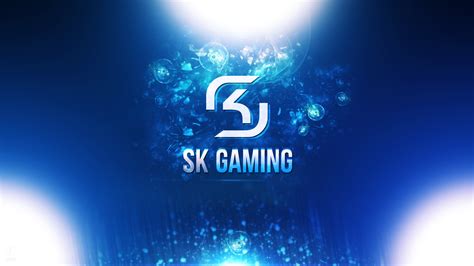 Sk Gaming Gaming Wallpapers Professional Gaming