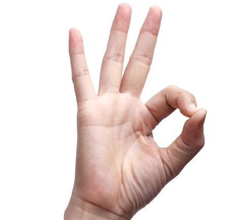 Ok Finger Hand Sign Language Holding Hands Png Download 14561333