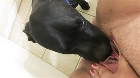 Mom Spreads Legs So Obedient Dog Could Lick Her Sweet Xxx Vagina Xxx