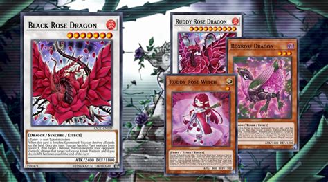 Rose Dragon Deck YGOPRODECK