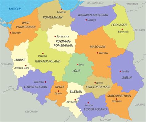 Karte Von Polen Premium Vektor