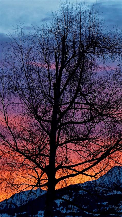 640x1136 Evening Sunrise Morning Beautiful Nature Iphone 5