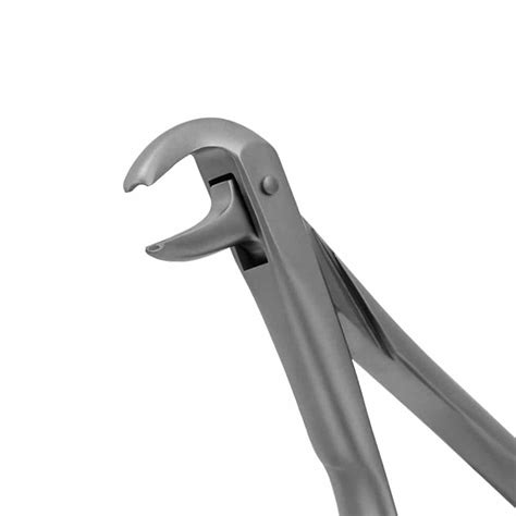 Lower Anterior Extraction Forceps W Notched Tips Prodentusa