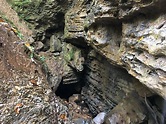 Ellison’s Cave - Walker County, GA - Official Government Site