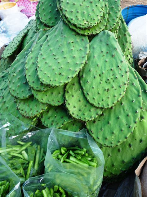 We invite you today to discover the true tastes of mexican food! Fresh and healthy nopales (cactus).