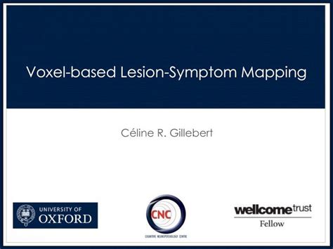 PDF Voxel Based Lesion Symptom Mappinggestaltrevision Be Pdfs Lss2014
