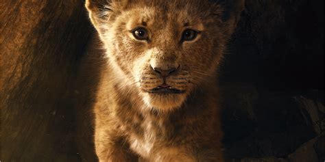 The remake of the 1994 animated film beat out industry experts' prediction of a $150 million opening. 'The Lion King' - Opening Weekend Box Office Numbers ...