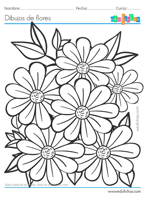 Get Flores Dibujos Para Colorear Para Adultos Mayores Faciles