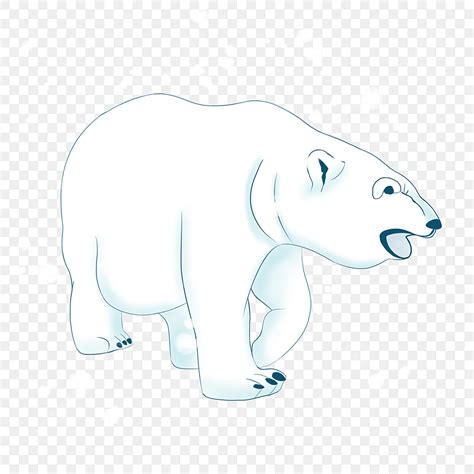 Polar Bears Png Picture Fierce Polar Bear Hand Drawn Illustration