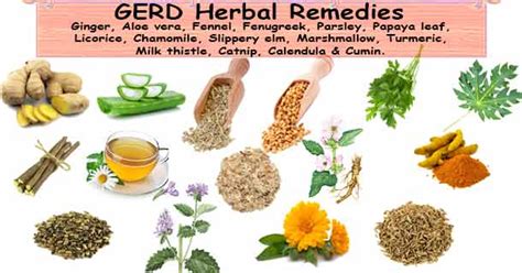 Gerd Herbal Remedies Herbal Remedies For Heartburn