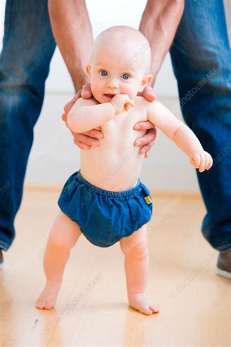Babys First Steps Stock Image C0312885 Science Photo Library