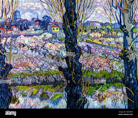 Vincent Van Goghs View Of Arles Flowering Orchards 1889 Famous