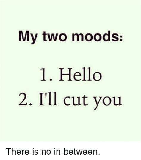 My Two Moods 1 Hello 2 Ill Cut You There Is No In Between Funny Meme