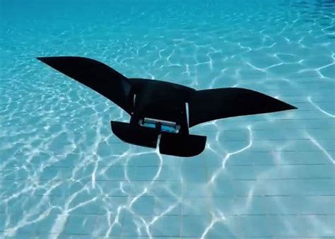 Robotic Manta Ray Made For Underwater Surveillance Unshootables