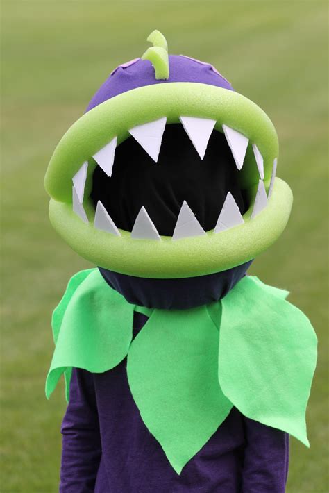 Plants Vs Zombies Halloween Costume Diy