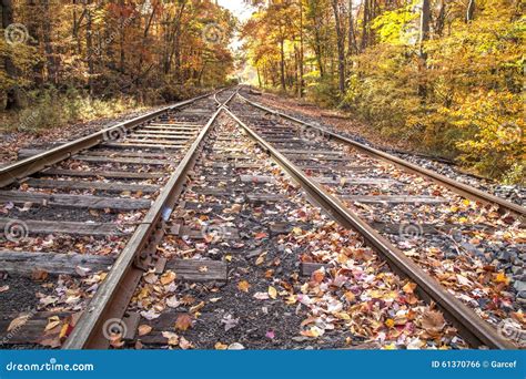 Railway Tracks In The Fall Stock Photo Image Of Scene 61370766