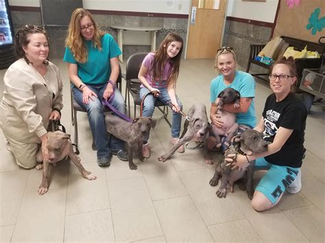 5 Bald Puppies Found On Side Of Road Greeted Their Rescuers With So