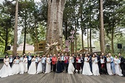 2020阿里山神木下婚禮 香林神木下見證真心