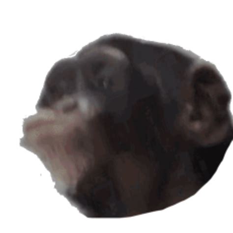 Monkepog Discord Emoji