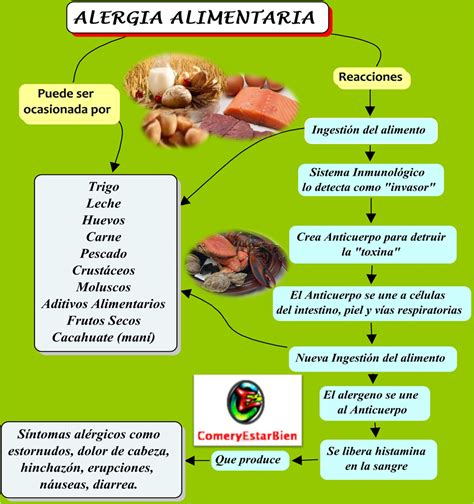 Salud Y NutriciÓn Alergias Alimentarias