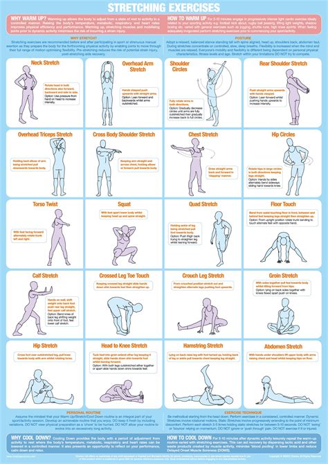 Stretching Exercise Chart Chartex Free Nude Porn Photos