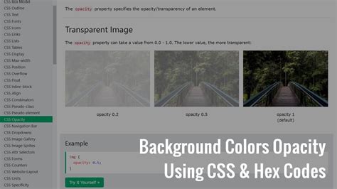 Opacity Css Web Development Colorful Backgrounds Wordpress Cool