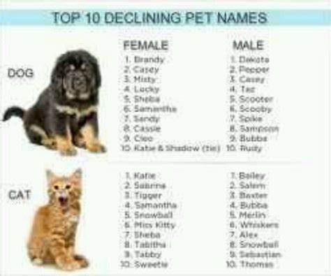 Cute Pet Names For Her