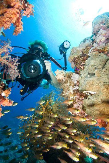 Underwater Photography Mermaid Underwater Photographer Ocean