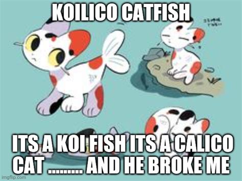 Opioid Catfish Imgflip