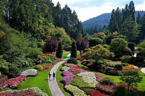 How To Get To The Butchart Gardens Clipper Vacations Magazine
