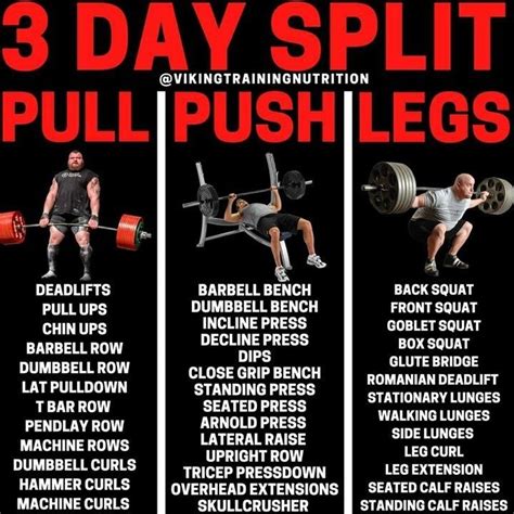 Build Muscle Gains And Strength With This Push Pull Split Structure GymGuider Com In