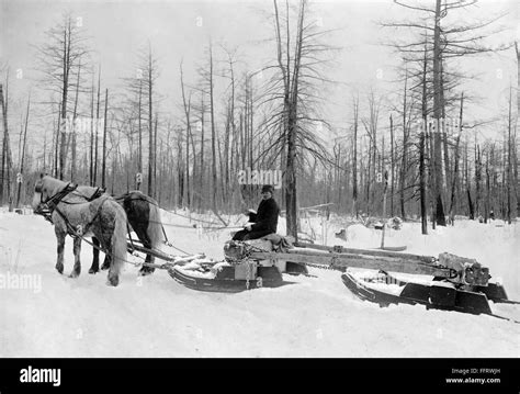 Michigan Lumbering Na Lumberjack Logging With Horsedrawn Sled During