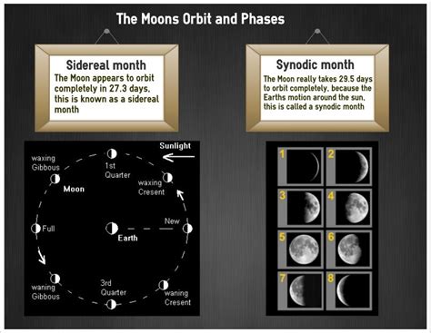 The Moons Orbit And Phases Infographic Infographics Astronomy