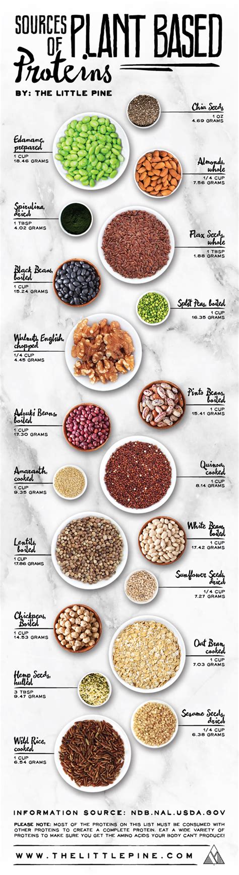 20 Best Sources Of Plant Based Protein Infographic