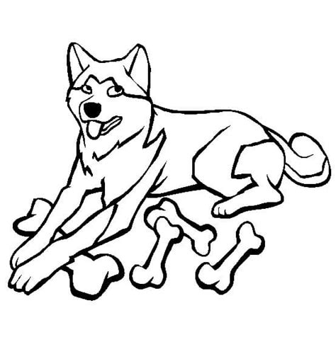 Menggambar Anjing Dengan Tulang