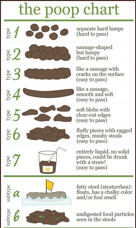 Poop Chart Next Level Biohacking