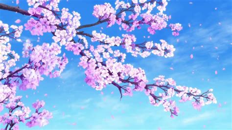 Anime Pink Tree Wallpapers Wallpaper Cave