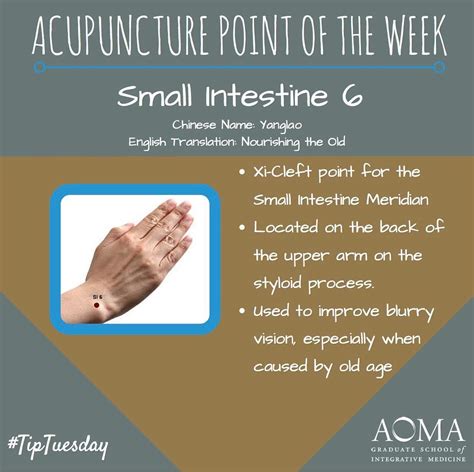 Tiptuesday Acupuncture Point Of The Week Small Intestine 6 📍