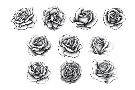 Money rose hands from sketch to final art ogabel com. I incredibly love the colors, outlines, and depth. This really is a terrific tattoo design if ...