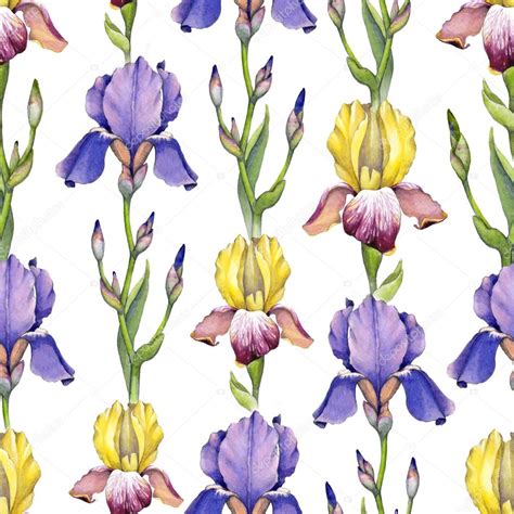 Watercolor Iris Flowers Pattern Stock Photo By ©sashsmir 59829457