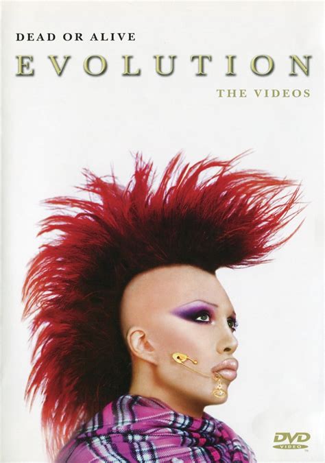 Dead Or Alive Evolution The Videos 2003 Dvd Discogs