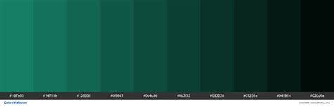 Shades Of Deep Sea Color 167e65 Hex Hex Colors Green Color Pallete
